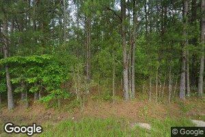 973 Nathan Jordan Rd, Chatom, AL 36518