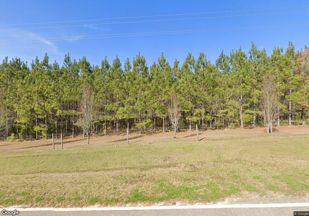 1201 Hansell Rd, Meigs, GA 31765 - photo 1