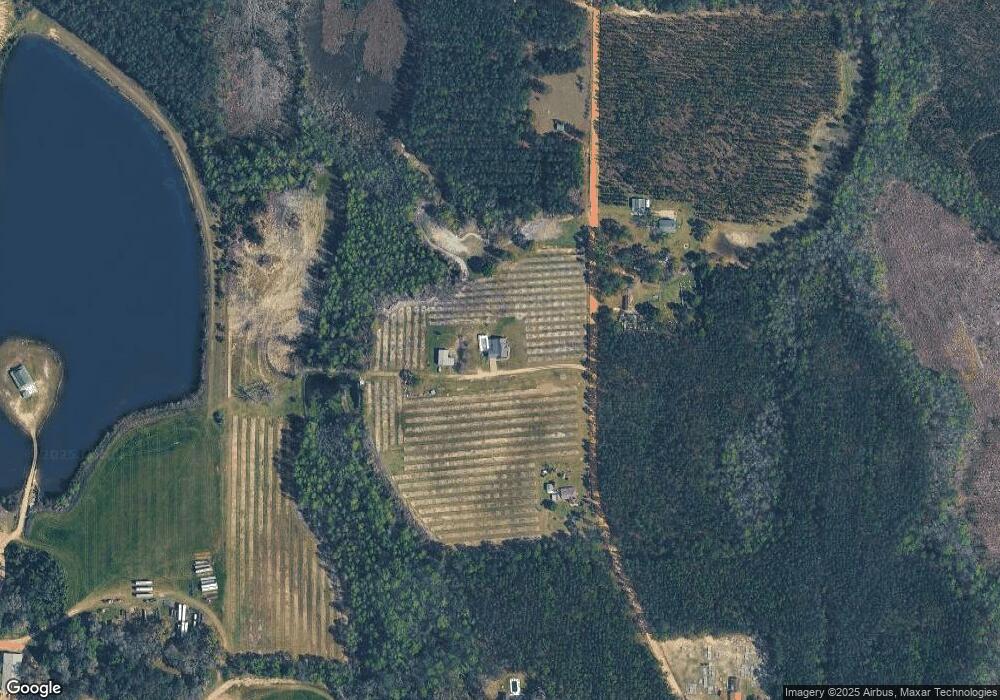 188 Carter Chapel Rd, Mershon, GA 31551 - photo 1