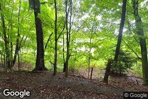 1242 Jenkins Hollow Rd, Mathias, WV 26812