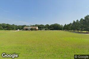 14433 Tippettville Rd, Pineview, GA 31071