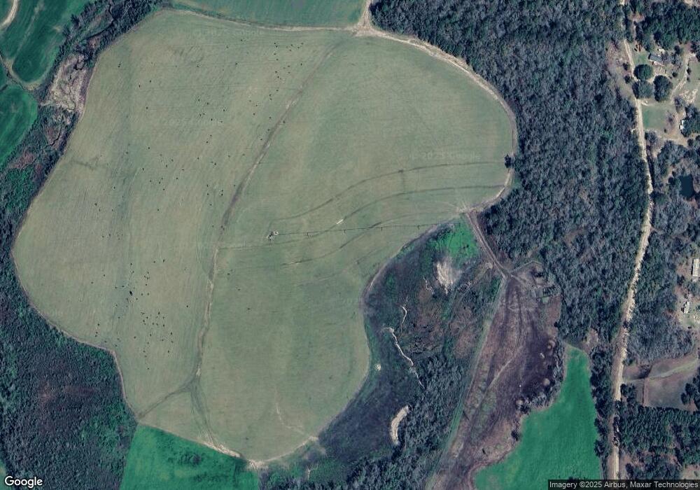 3426 Dry Lake Rd, Dixie, GA 31629 - photo 1