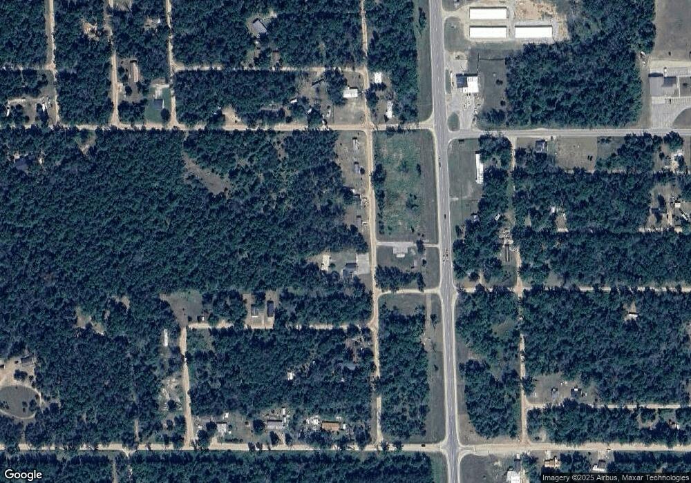 4347 S Yale Ave, Baldwin, MI 49304 - photo 1