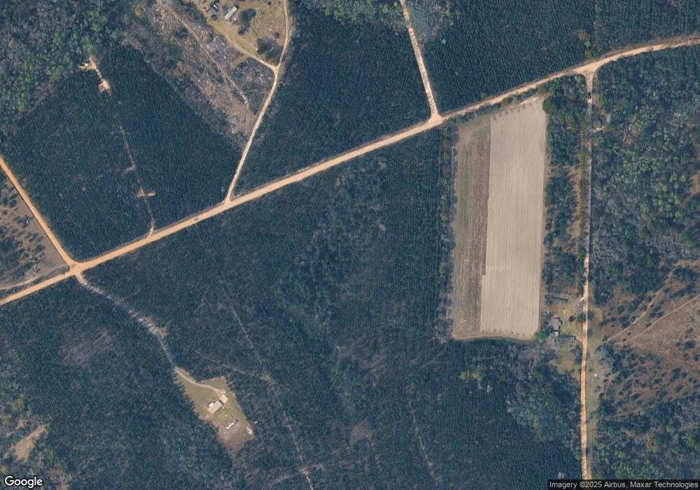 136 Panda Place, Alma, GA 31510 - photo 1