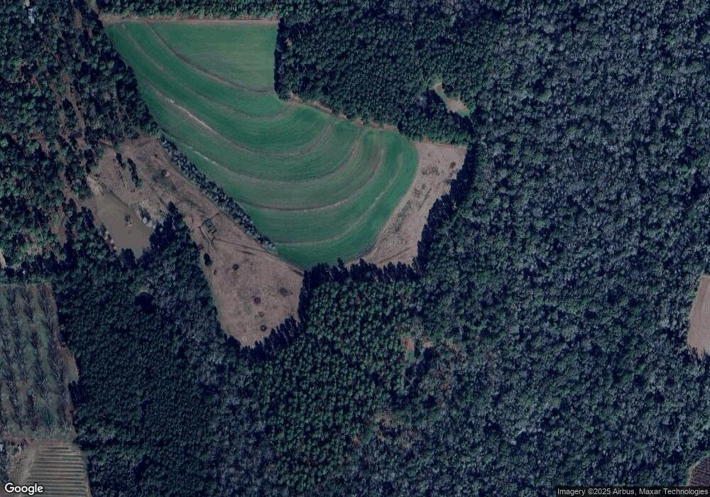 586 Old Newton Rd, Pelham, GA 31779 - photo 1