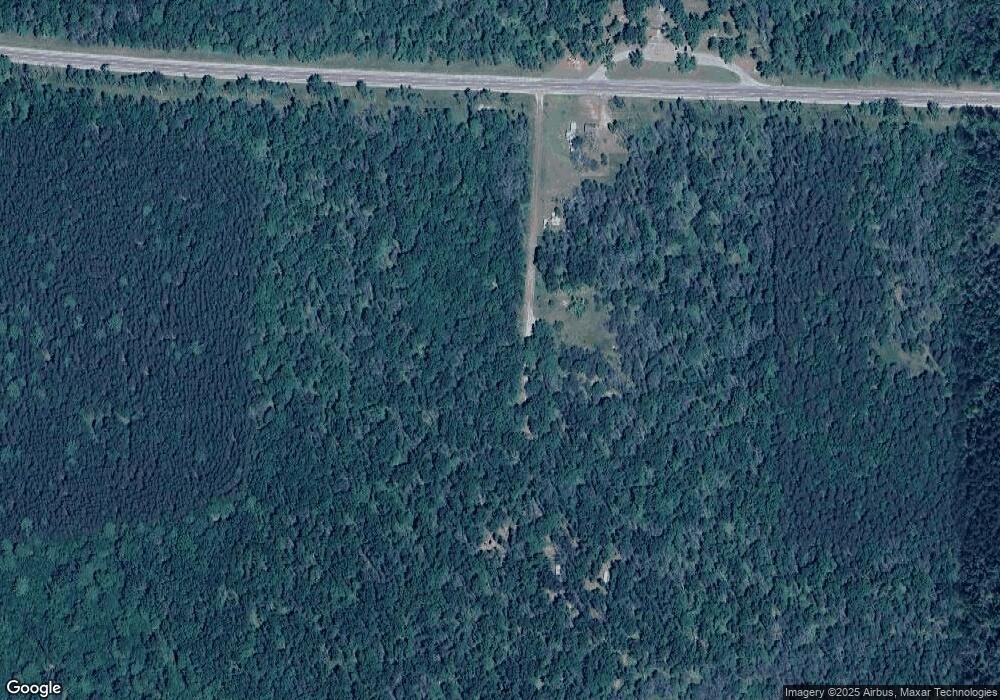 3150 S Wallace Blood Rd, Baldwin, MI 49304 - photo 1