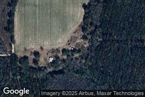 7849 Sycamore School Rd, Manor, GA 31550