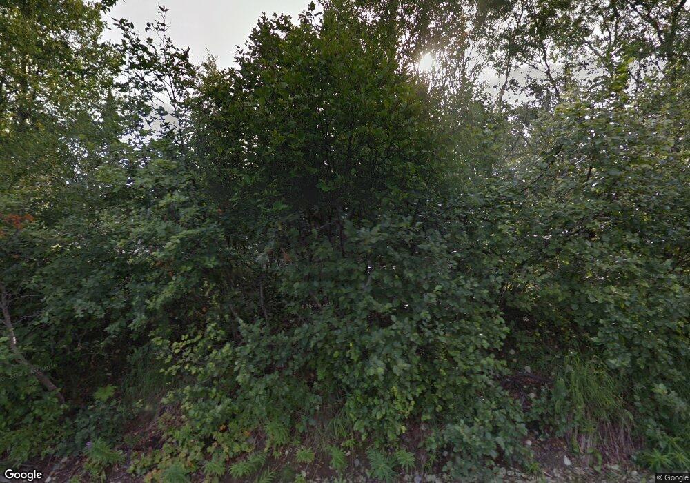 14301 Prator St, Anchorage, AK 99516 - photo 1