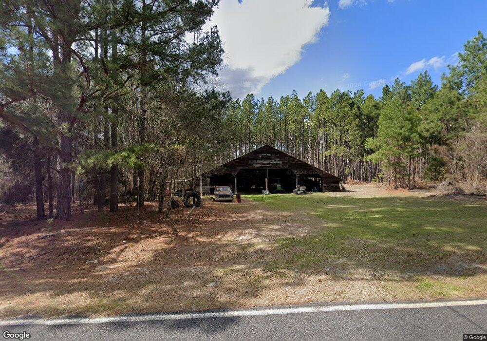 977 Jay Bird Springs Rd, Chauncey, GA 31011 - photo 1