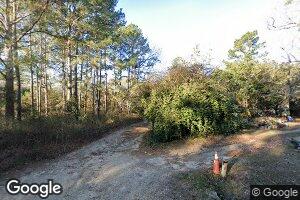 116 Viola Thomas Ln, Attapulgus, GA 39815