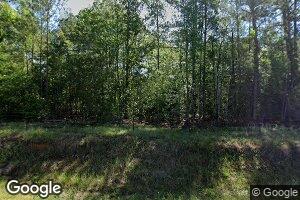 233 N Smokey Cove Rd, Singer, LA 70660