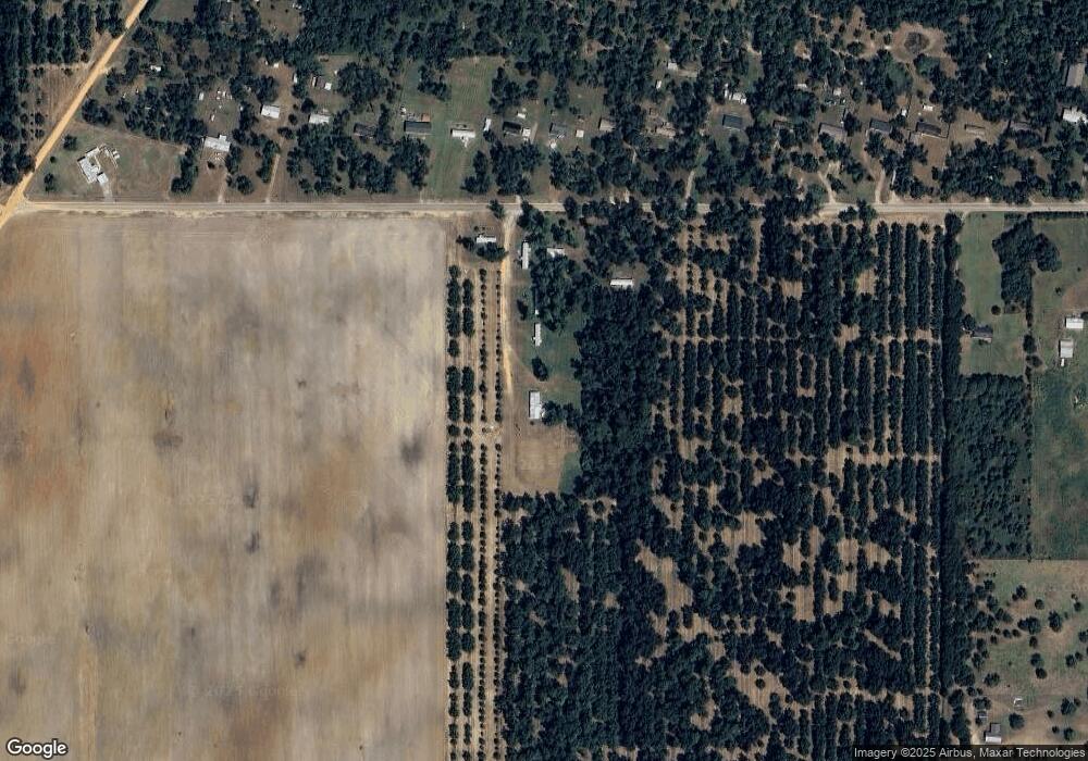 4605 Bowles Rd, Baconton, GA 31716 - photo 1