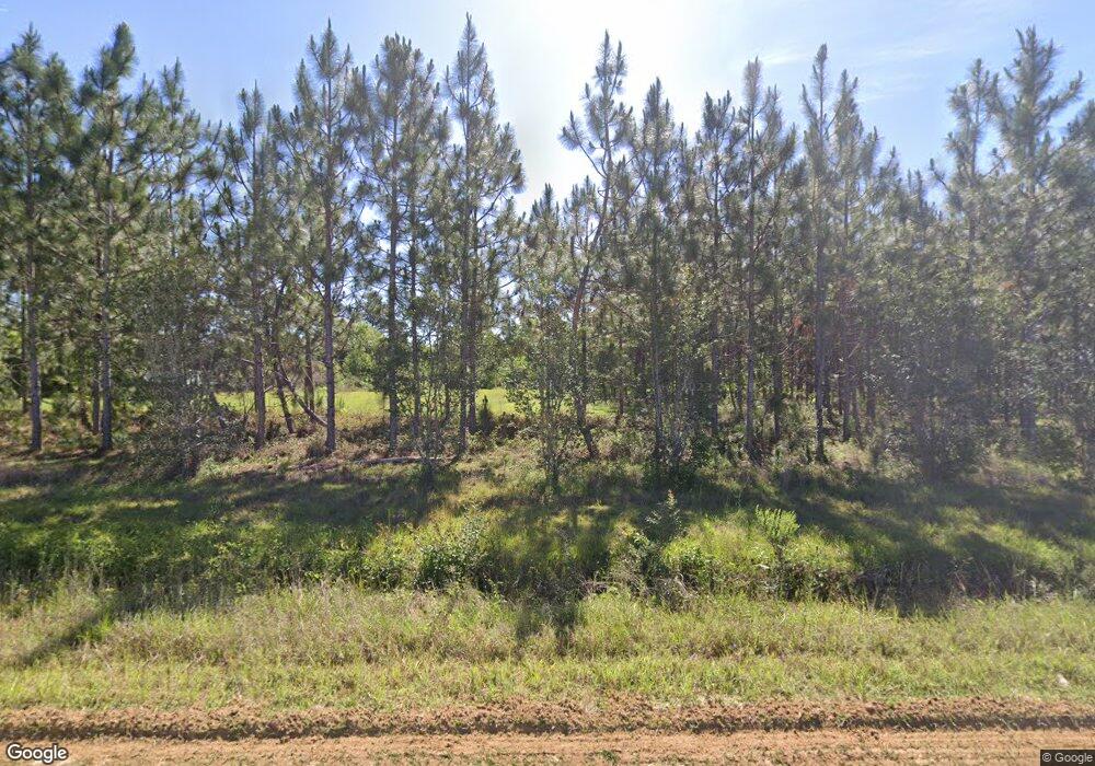 218 Jones Dean Rd, Climax, GA 39834 - photo 1