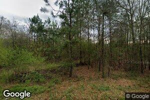 3070 Blanton Mill Rd, Williamson, GA 30292