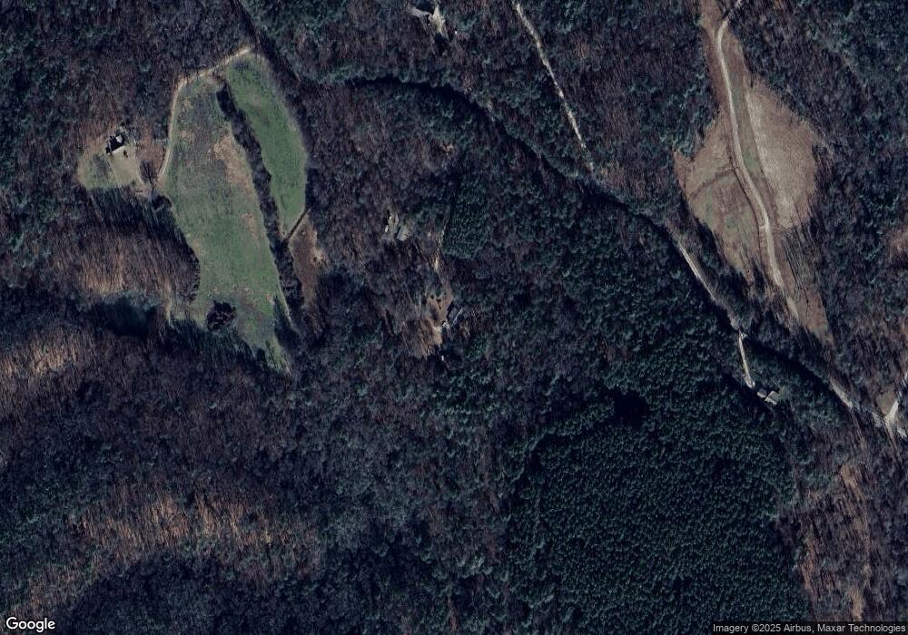 250 Nerve Branch Trail, Clarkesville, GA 30523 - photo 1