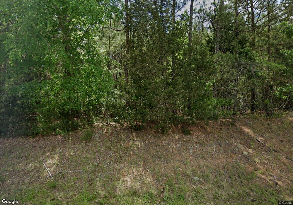 1104 Forrest Shealy Rd, Chapin, SC 29036 - photo 1