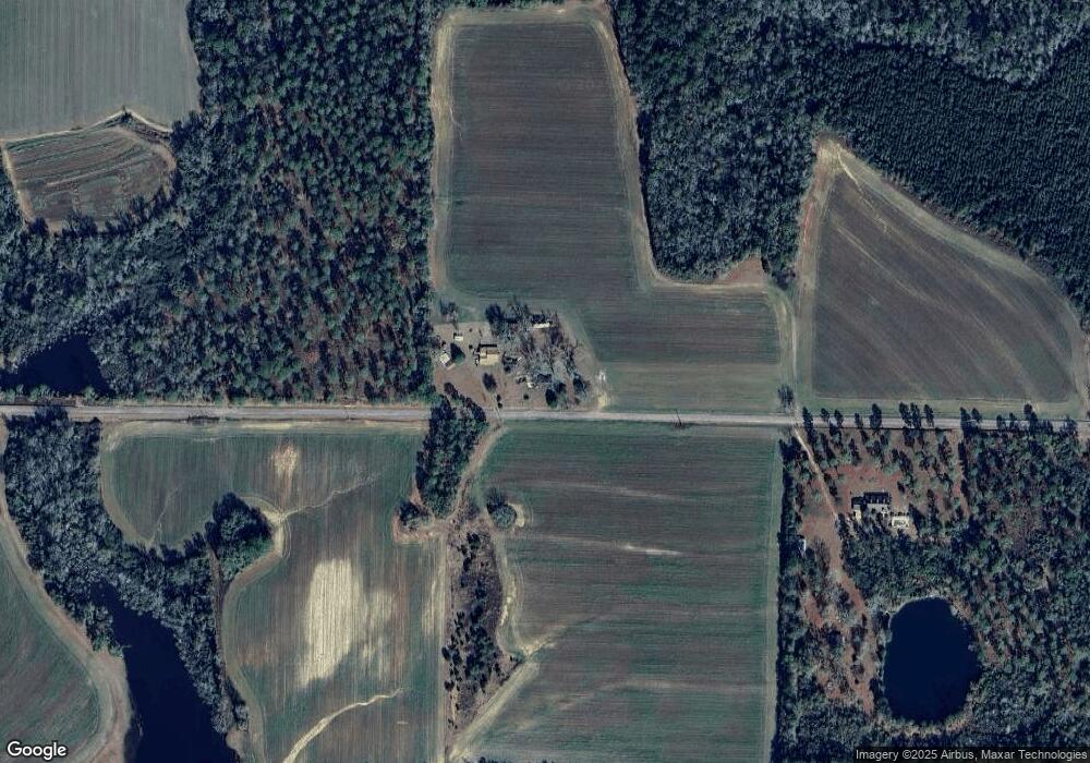 311 Gilliard Rd, Pelham, GA 31779 - photo 1