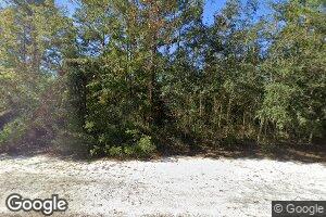 Lot #76 Captain's Cove Subdivision, Shellman Bluff, GA 31331