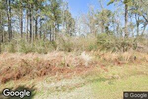 1847 Charlie Overton Rd, Greensburg, LA 70441