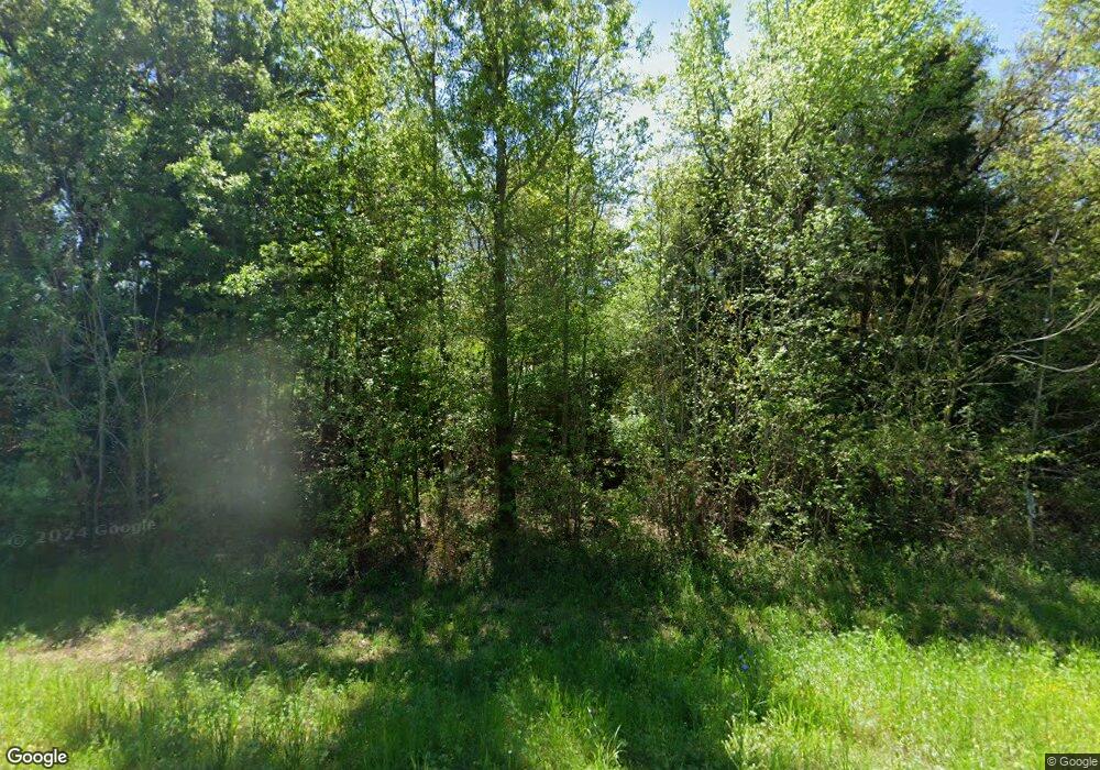 4891 Ga Highway 65, Pelham, GA 31779 - photo 1