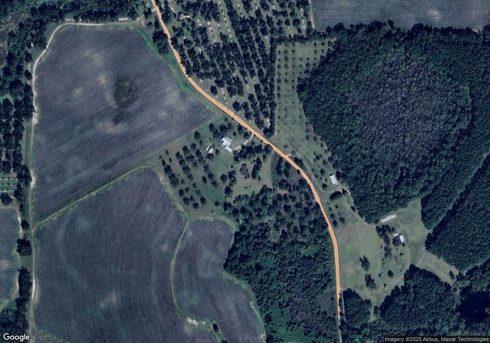 2841 Son Wright Rd, Dixie, GA 31629 - photo 1