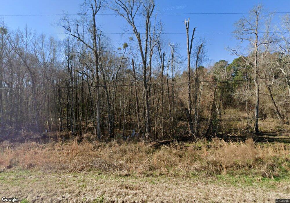 1626 Mount Vernon Alston Rd, Ailey, GA 30410 - photo 1