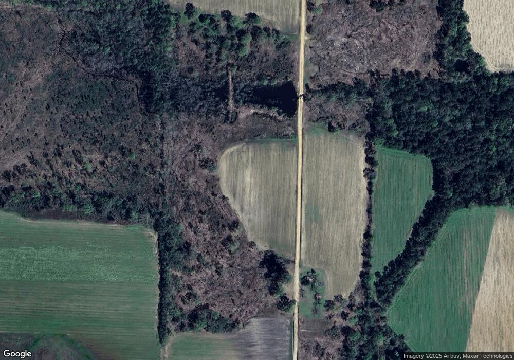 1363 Ray Vanbrackle Rd, Lenox, GA 31637 - photo 1