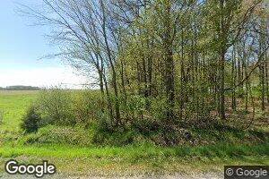 17400 S Merrill Rd, Elsie, MI 48831