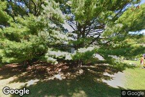 704 Pearl St, Thomasboro, IL 61878