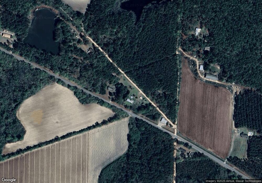 1182 Highway 125 N, Lenox, GA 31637 - photo 1