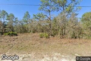 14487 Goldeneye Rd, Weeki Wachee, FL 34614
