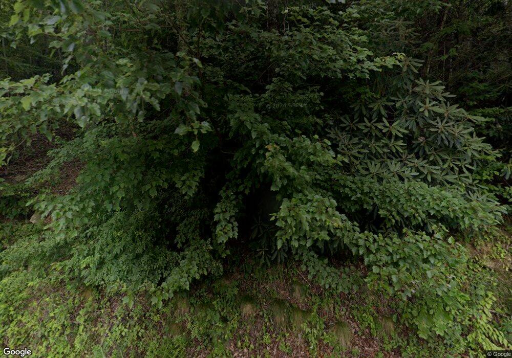 457 Caseys Branch Rd, Purlear, NC 28665 - photo 1