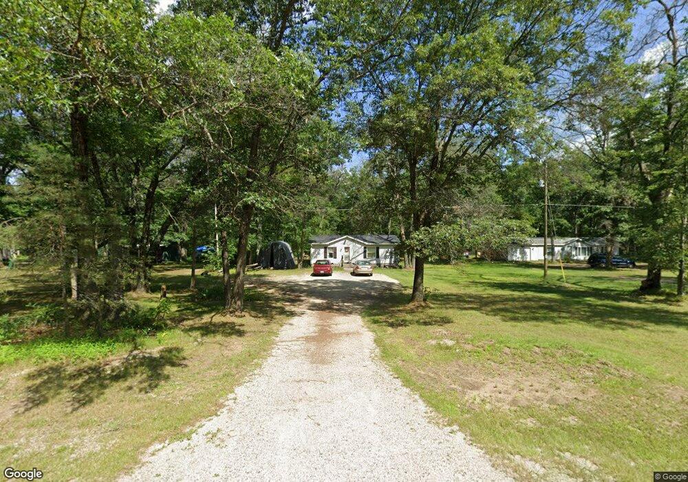 11666 N Bingham Ave, Bitely, MI 49309 - photo 1