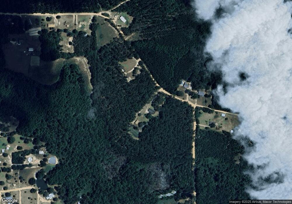 223 Boardwalk Rd, Alma, GA 31510 - photo 1