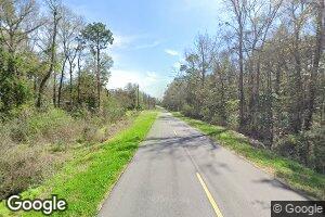 0 Co Rd 10, Samson, AL 36477