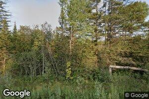 N4203 E Lake Rd, Moran, MI 49760