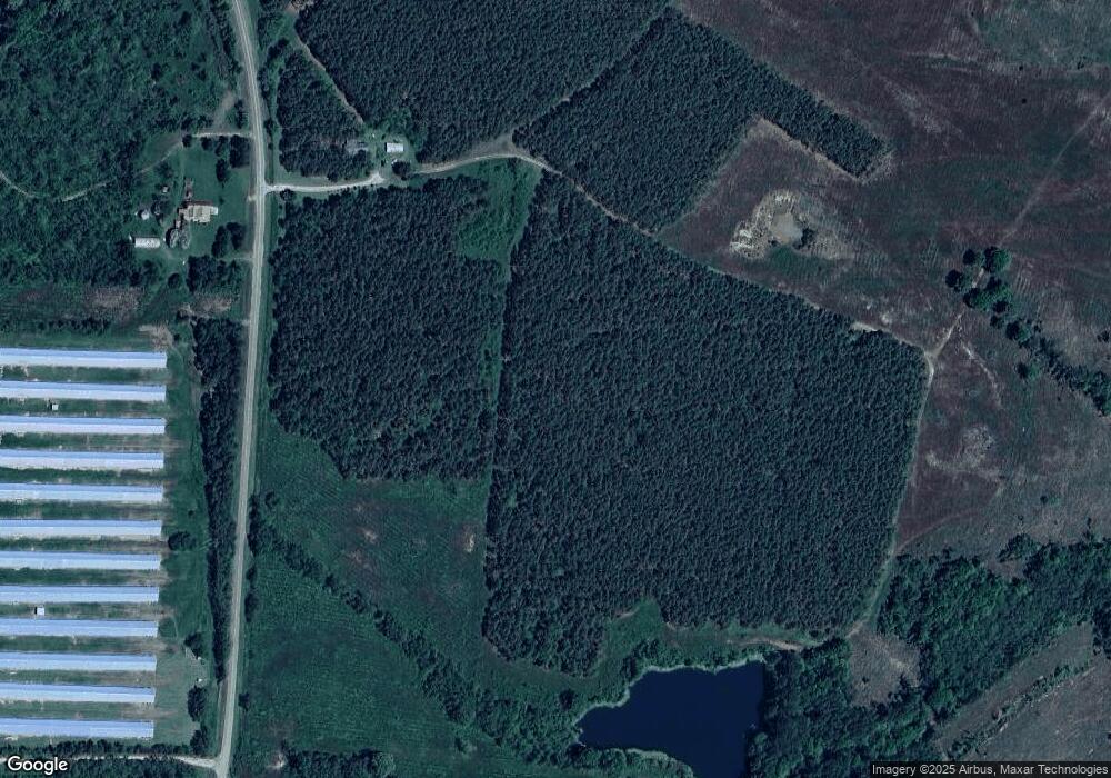 121 Chambliss Mill Rd, Americus, GA 31709 - photo 1