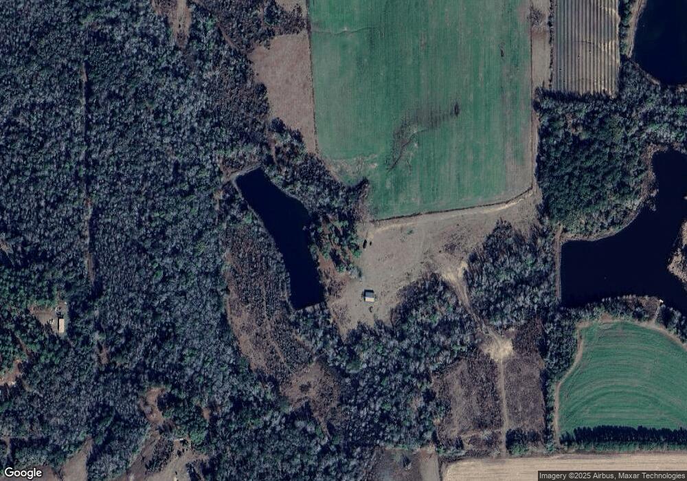 267 Sassafras Ln, Pelham, GA 31779 - photo 1