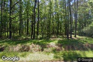 1123 Hard Pinch Rd, Moncks Corner, SC 29461