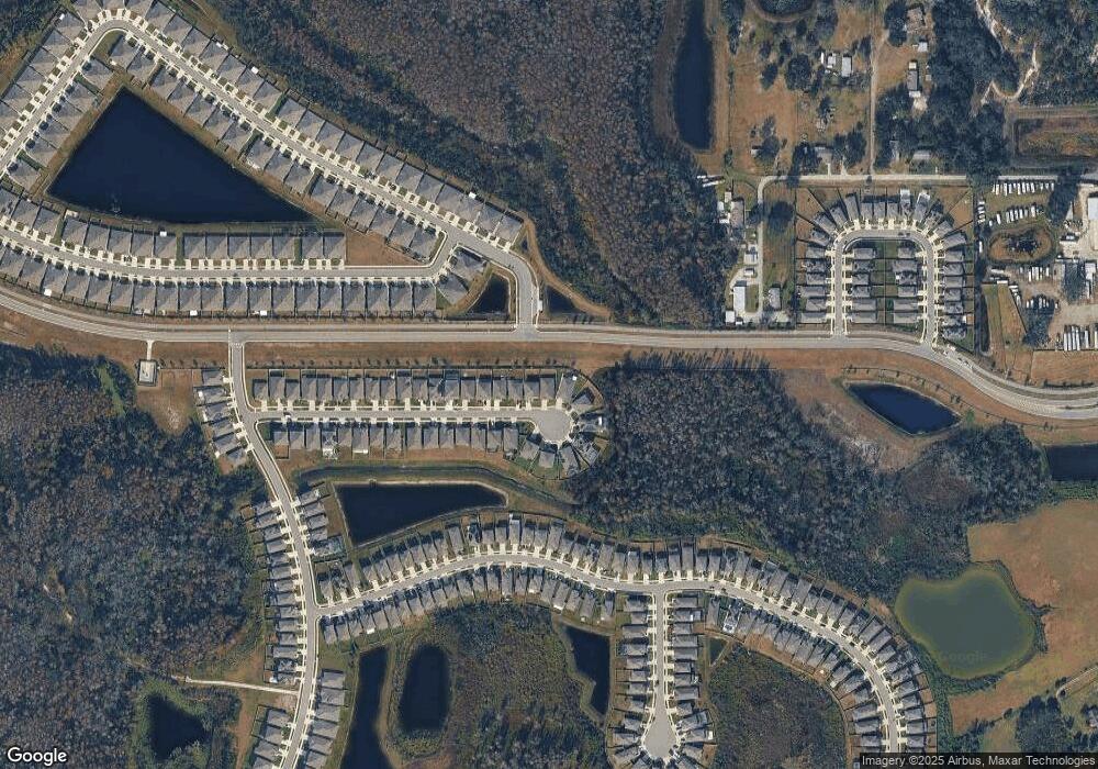 18373 Falling Pine Needle Ln, Land O Lakes, FL 34638 - photo 1