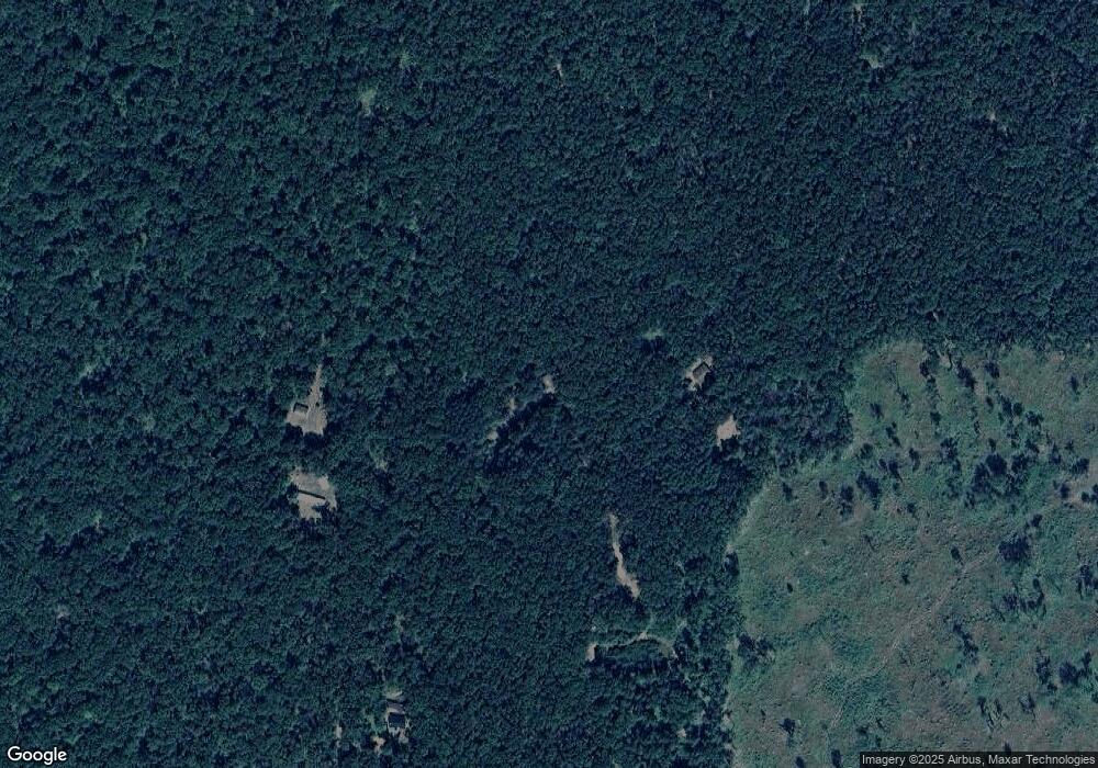 303 Hayes St, Bitely, MI 49309 - photo 1