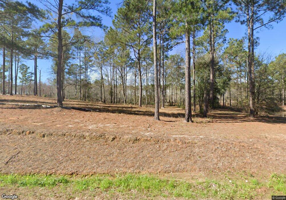 413 Hurst Tate Rd, Meigs, GA 31765 - photo 1