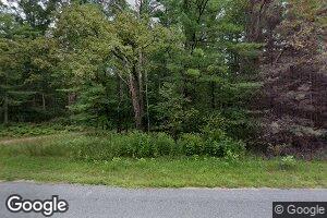 6198 E 64th St, Chase, MI 49623