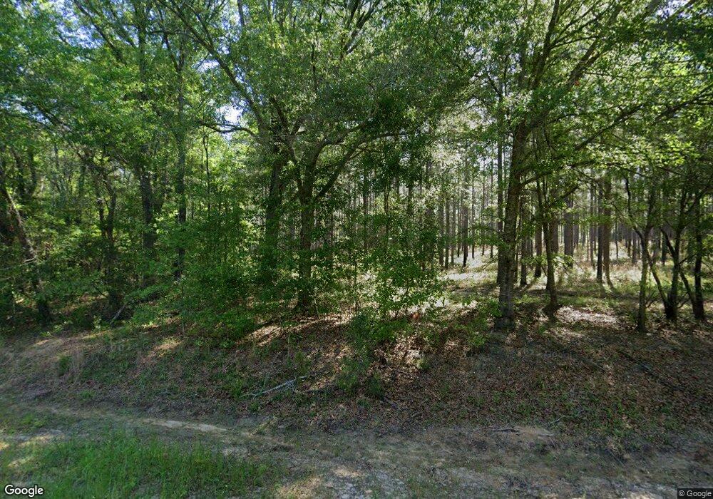 1525 Cane Mill Rd, Doerun, GA 31744 - photo 1