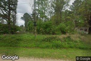 1113 Woulard Bend River Rd, State Line, MS 39362