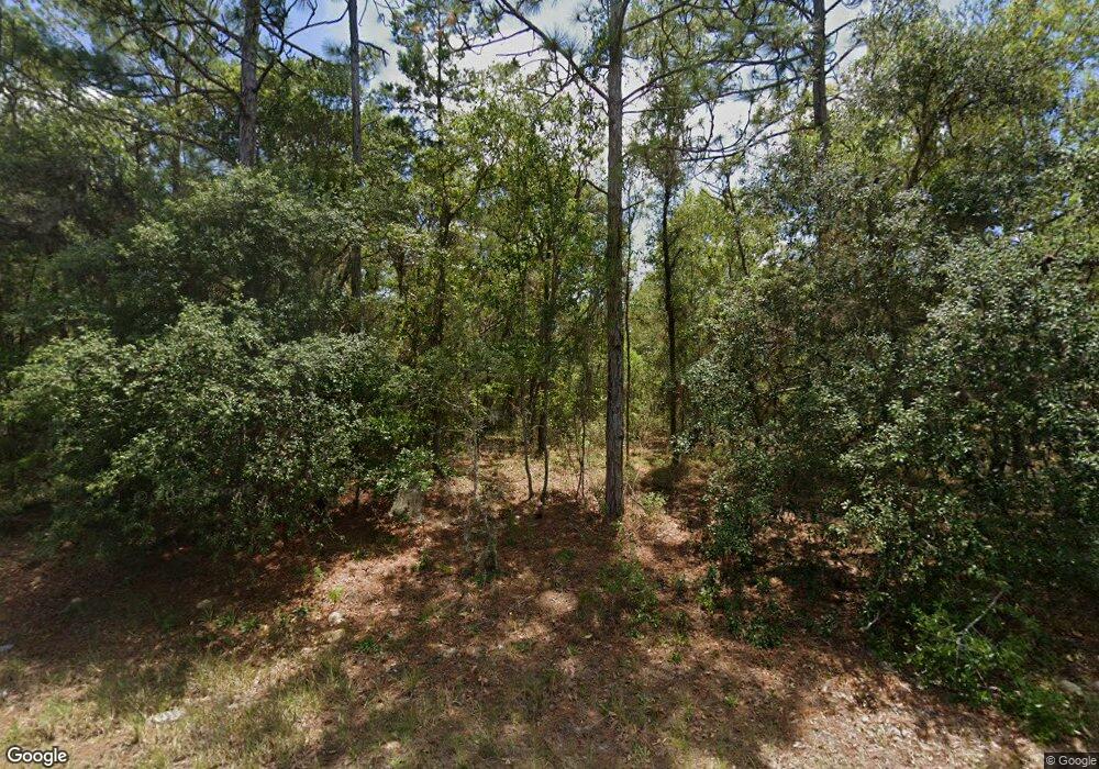 3310 W Naegelia Place, Citrus Springs, FL 34432 - photo 1