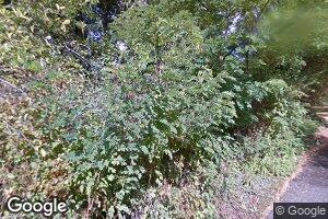 7800 NE West Port Madison Rd, Bainbridge Island, WA 98110