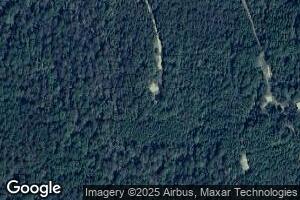4243 County Road 6, Silas, AL 36919