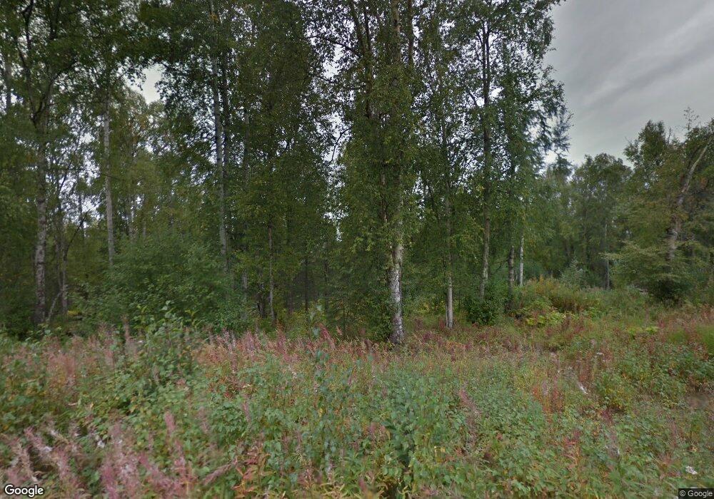 8667 W That Way, Wasilla, AK 99623 - photo 1