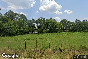 3819 William Dennis Rd, Chauncey, GA 31011